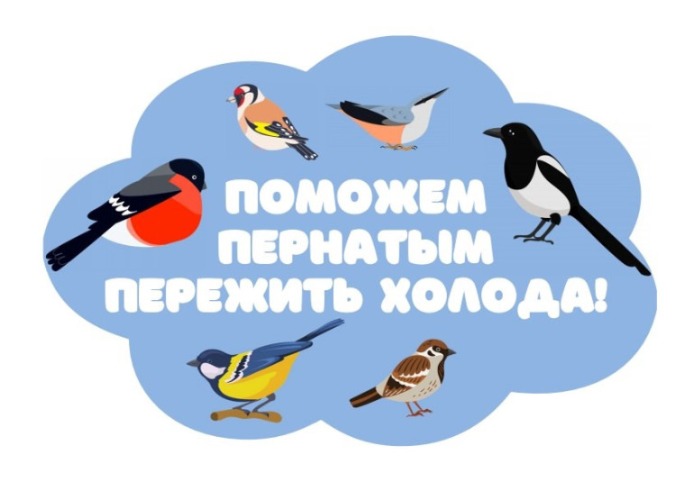 Внимание, конкурс! ? Сделай кормушку – помоги птицам!.
